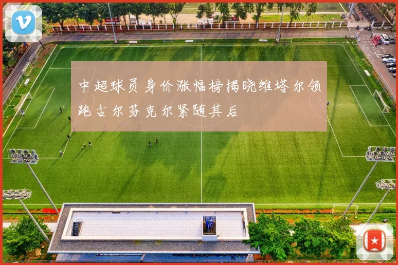 中超球员身价涨幅榜揭晓维塔尔领跑古尔芬克尔紧随其后
