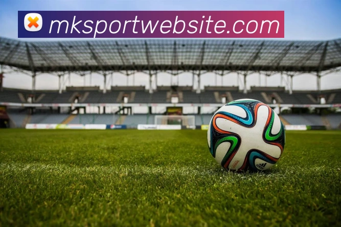 MK体育APP 封面图