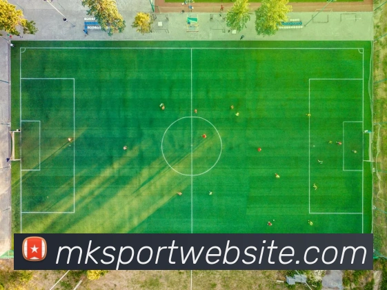 数据防护可视化